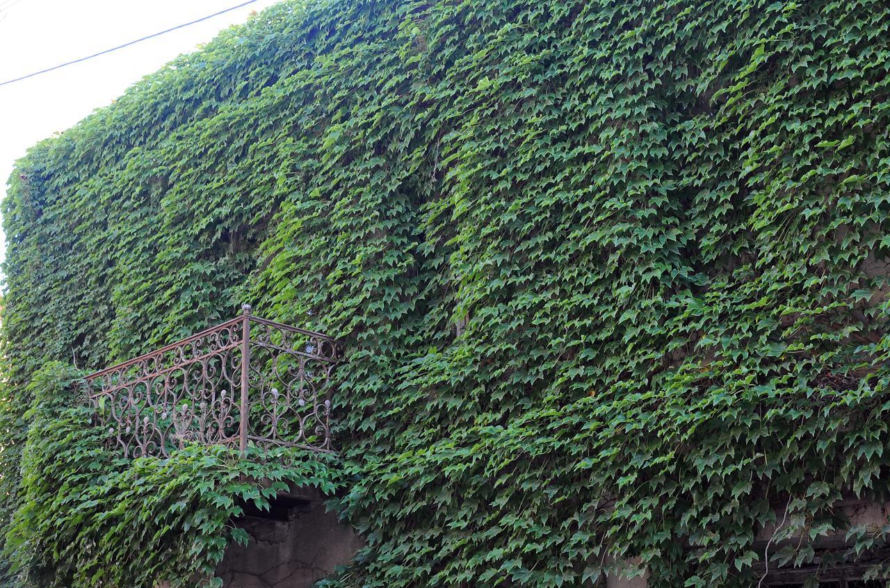 Old Walls 1 Tbilisi Bagian luar foto